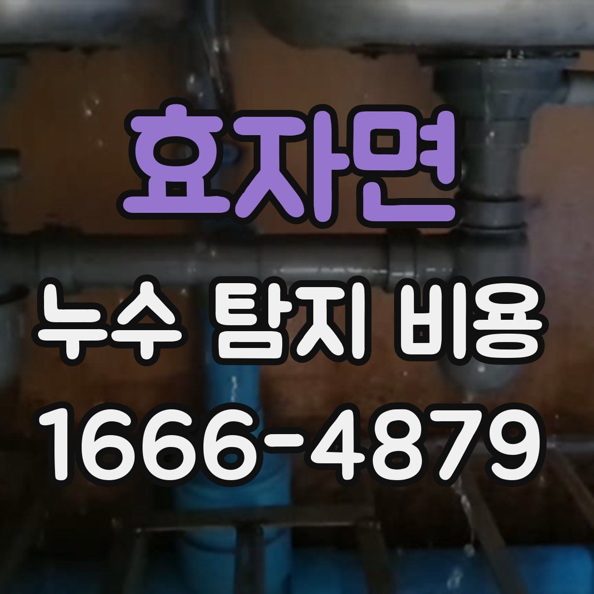 효자면 누수 탐지 비용