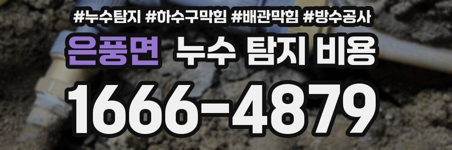 은풍면 누수 탐지 비용