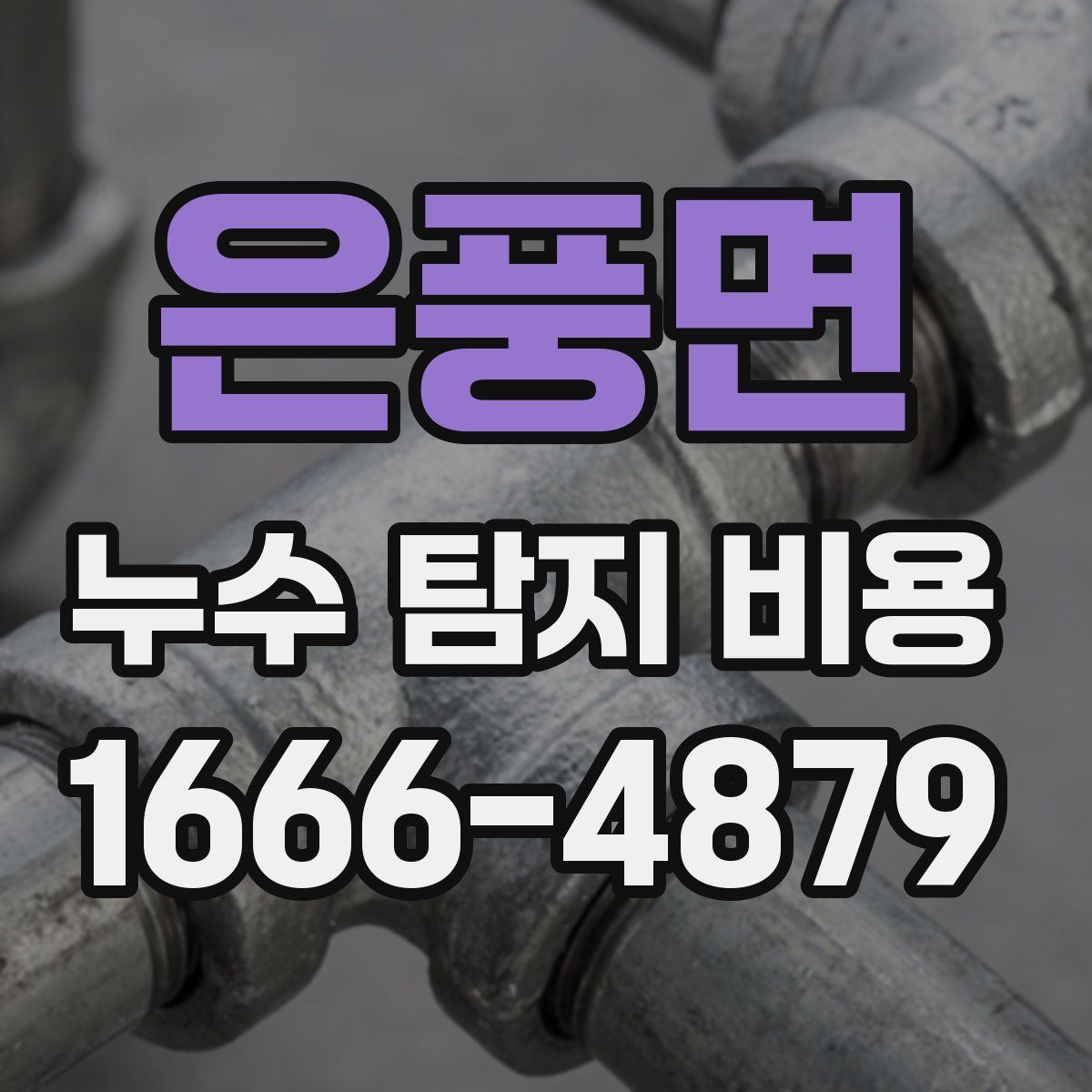 은풍면 누수 탐지 비용