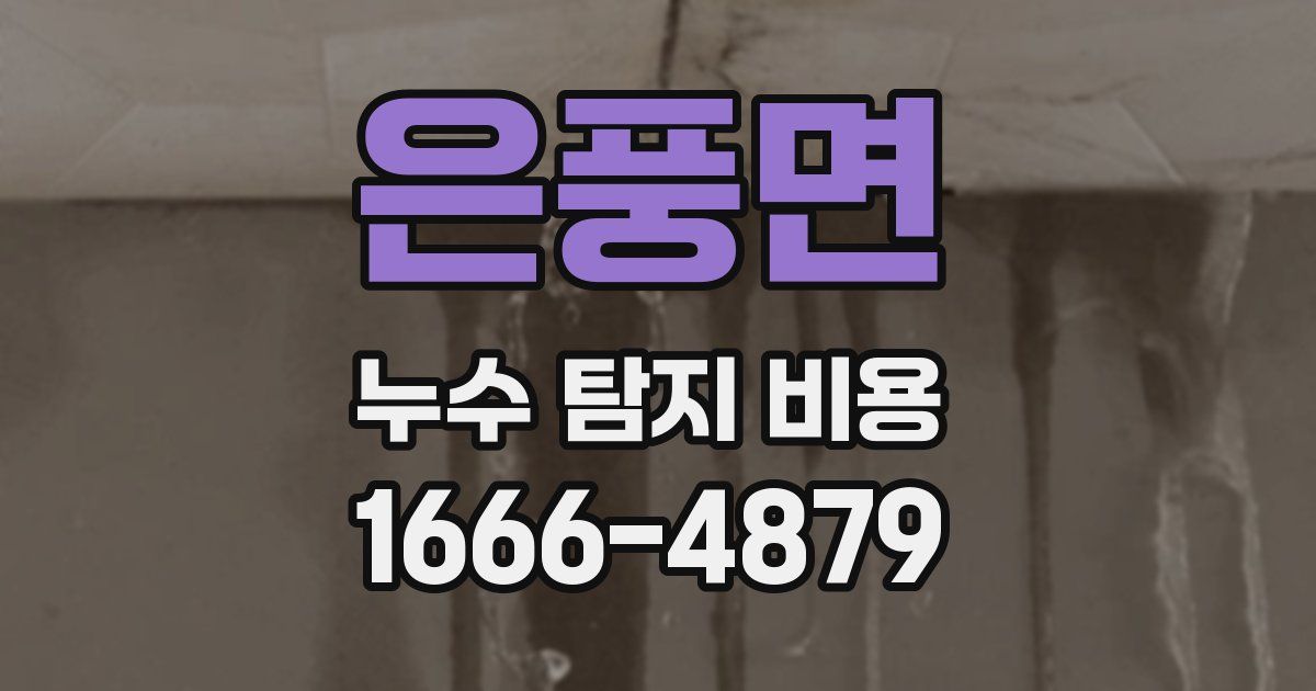 은풍면 누수 탐지 비용