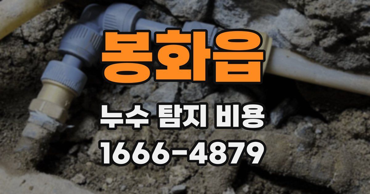 봉화읍 누수 탐지 비용