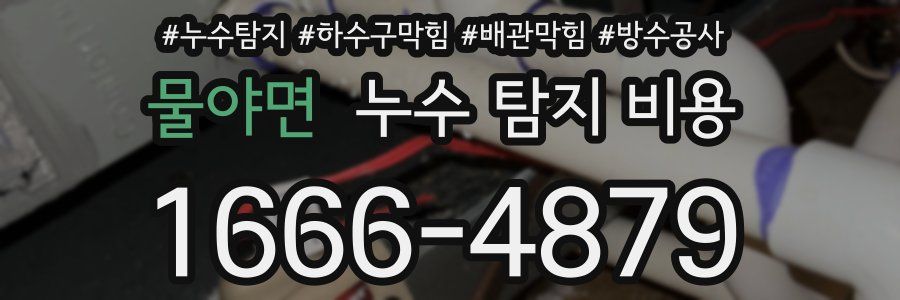 물야면 누수 탐지 비용