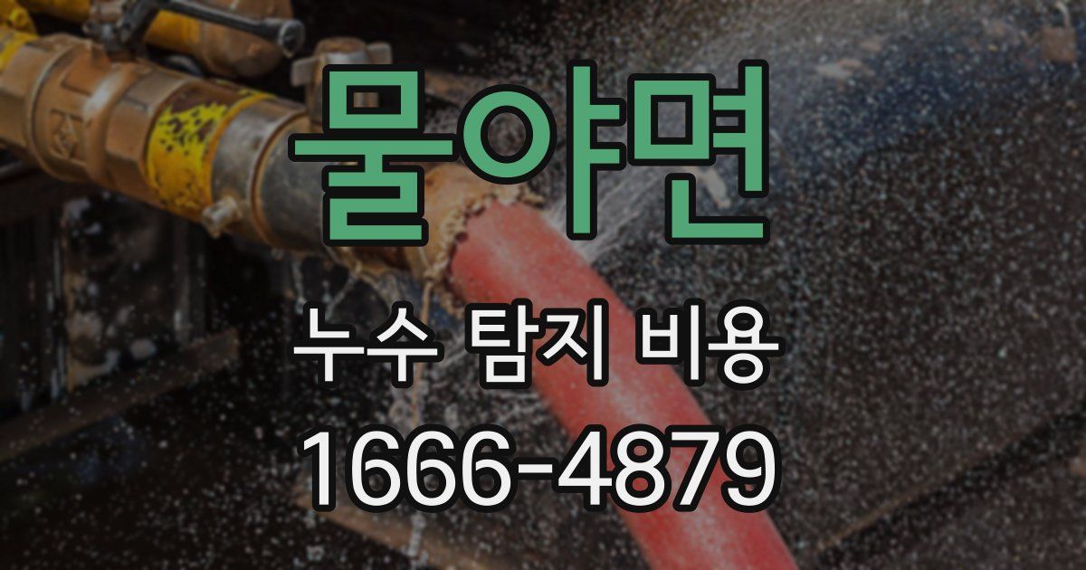 물야면 누수 탐지 비용