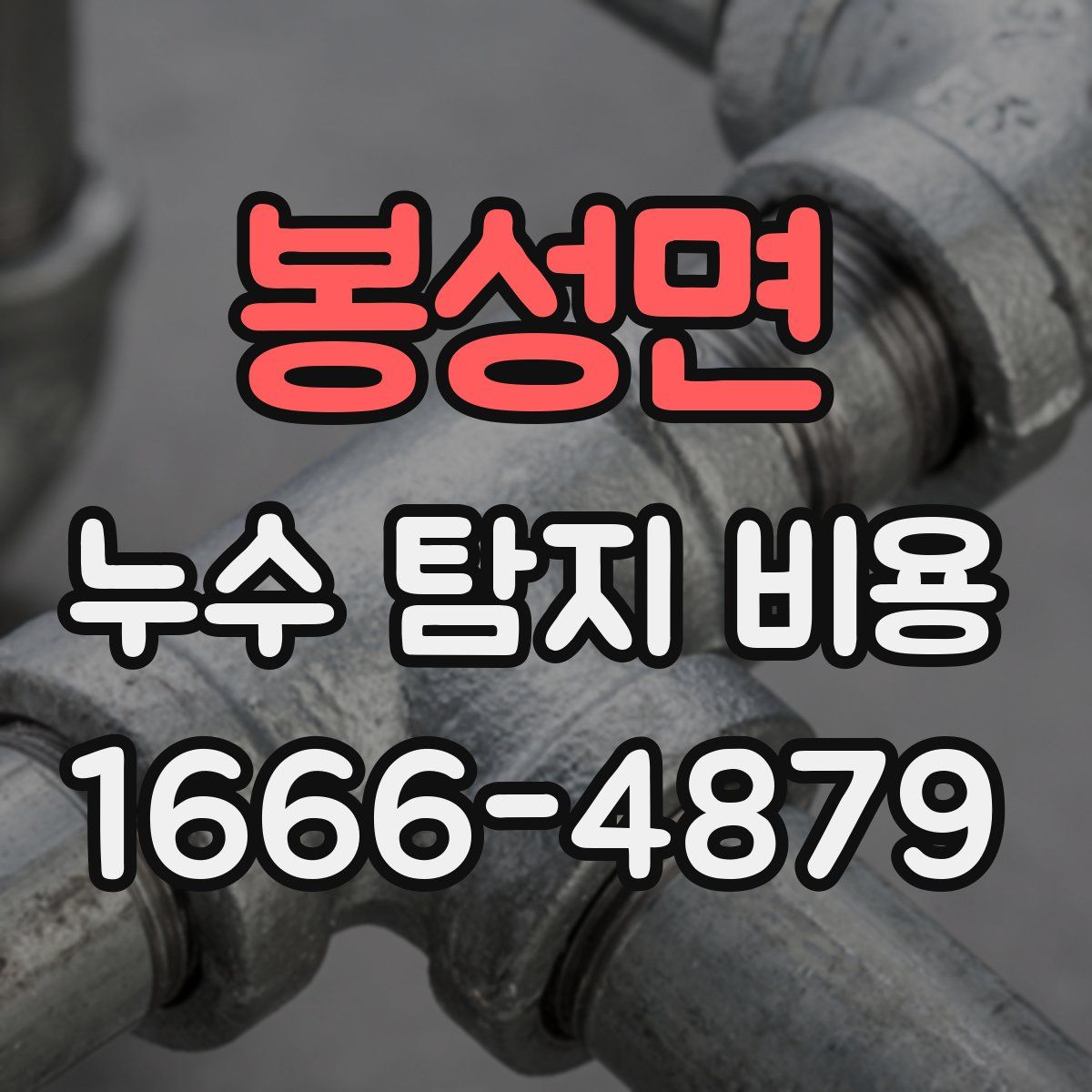 봉성면 누수 탐지 비용