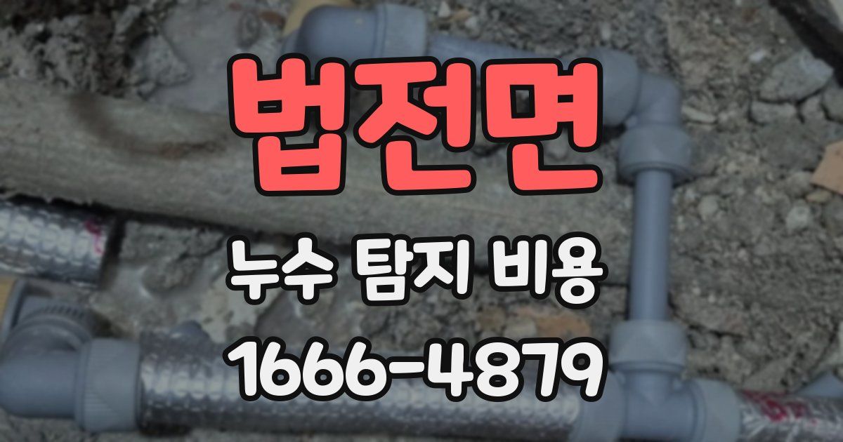 법전면 누수 탐지 비용