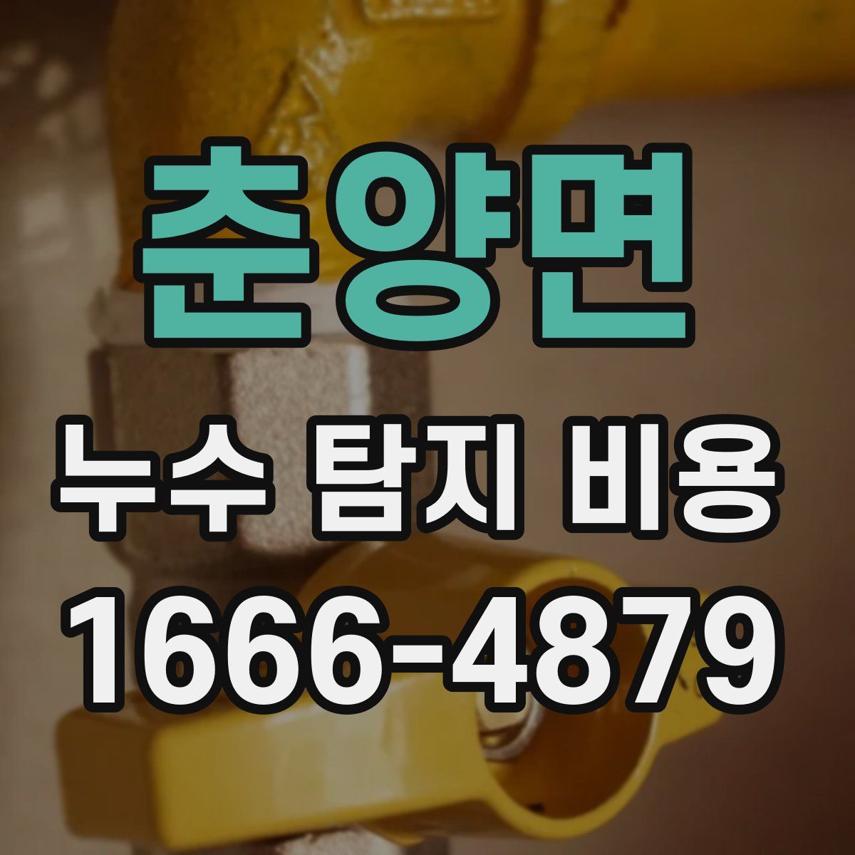 춘양면 누수 탐지 비용