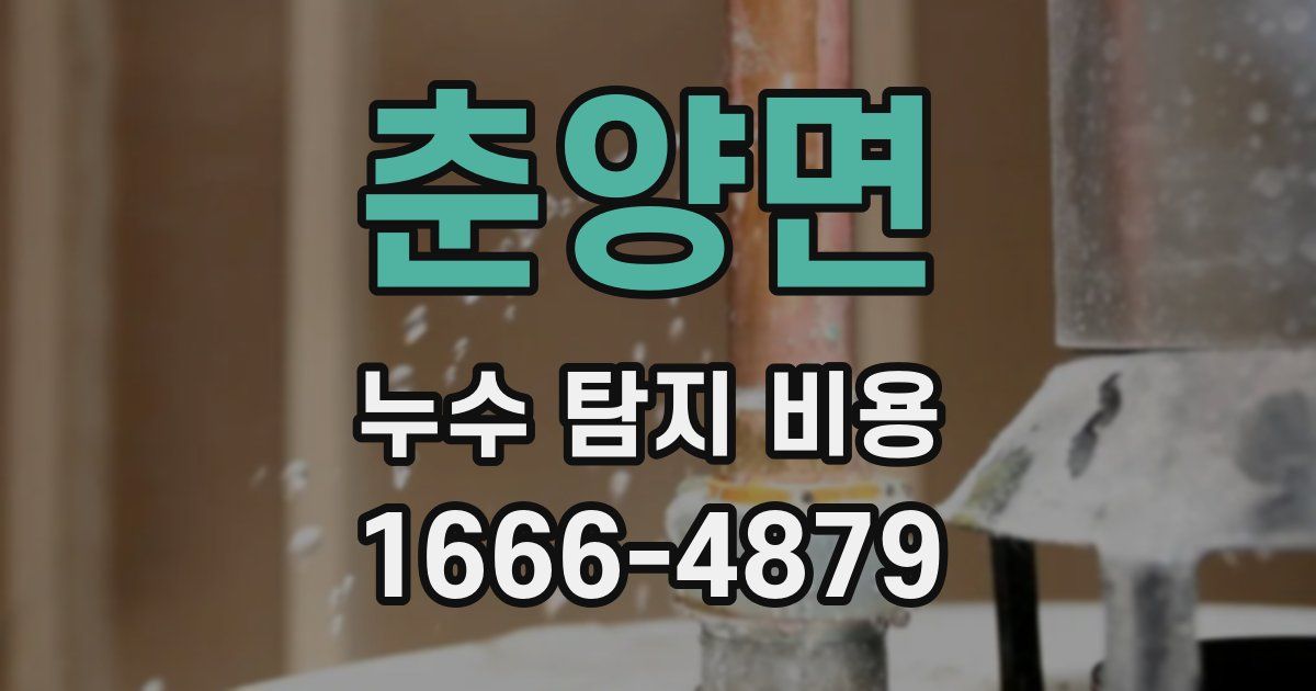 춘양면 누수 탐지 비용