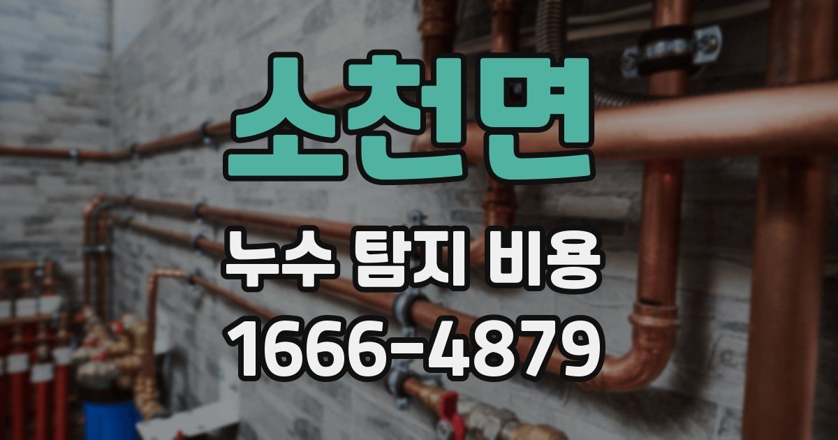 소천면 누수 탐지 비용