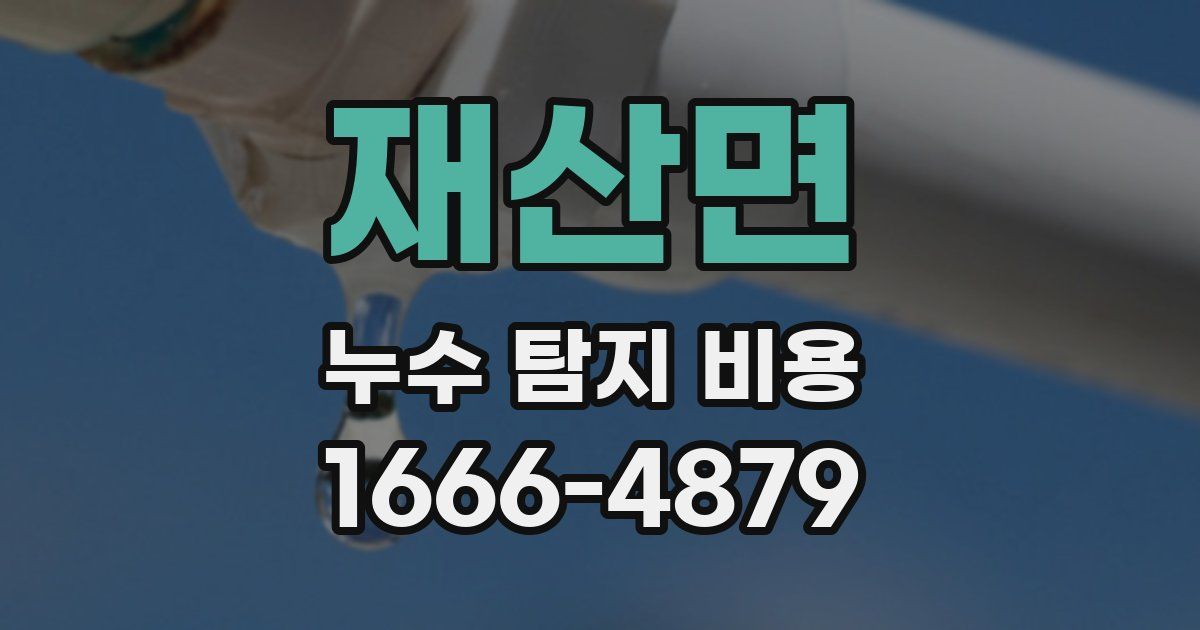 재산면 누수 탐지 비용