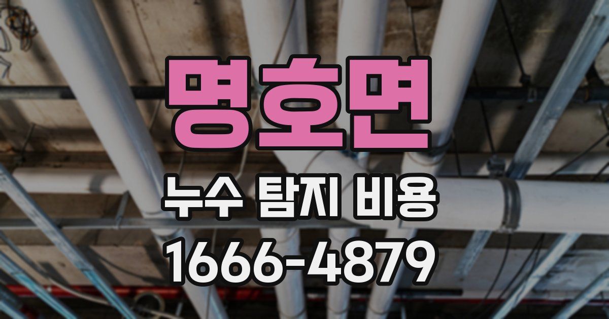 명호면 누수 탐지 비용
