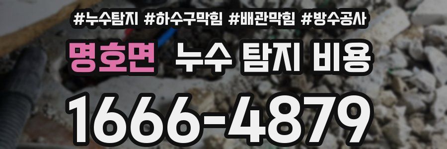 명호면 누수 탐지 비용