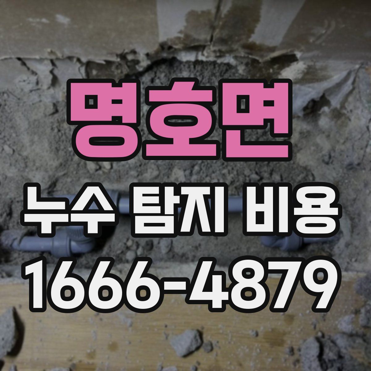 명호면 누수 탐지 비용