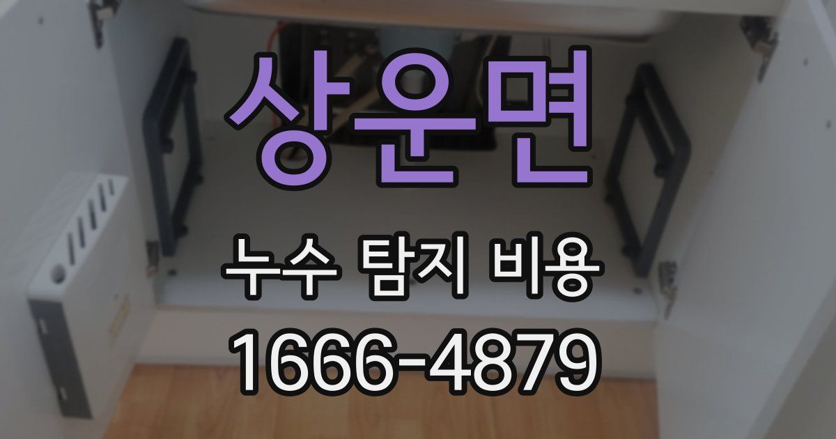 상운면 누수 탐지 비용