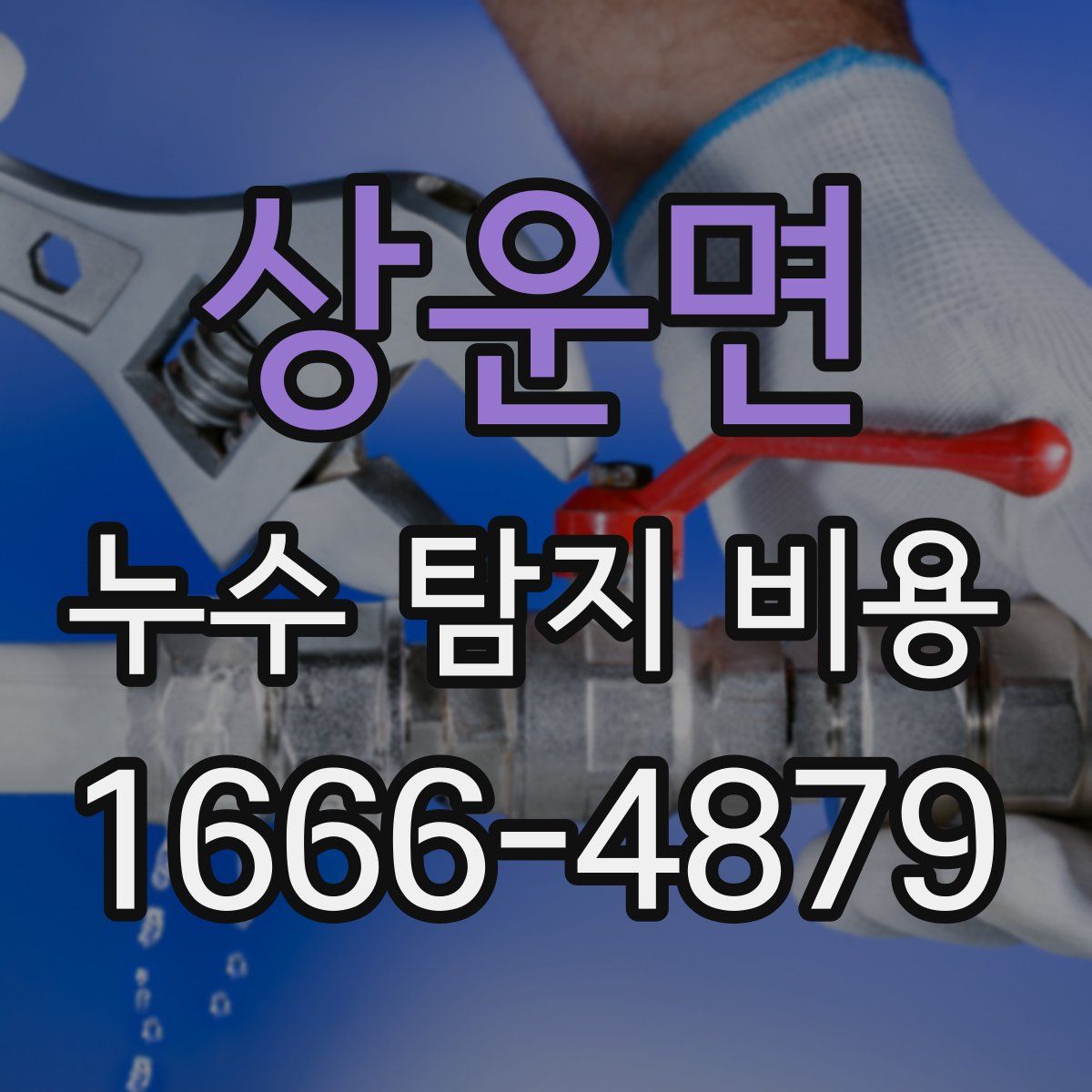 상운면 누수 탐지 비용