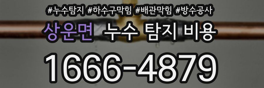 상운면 누수 탐지 비용