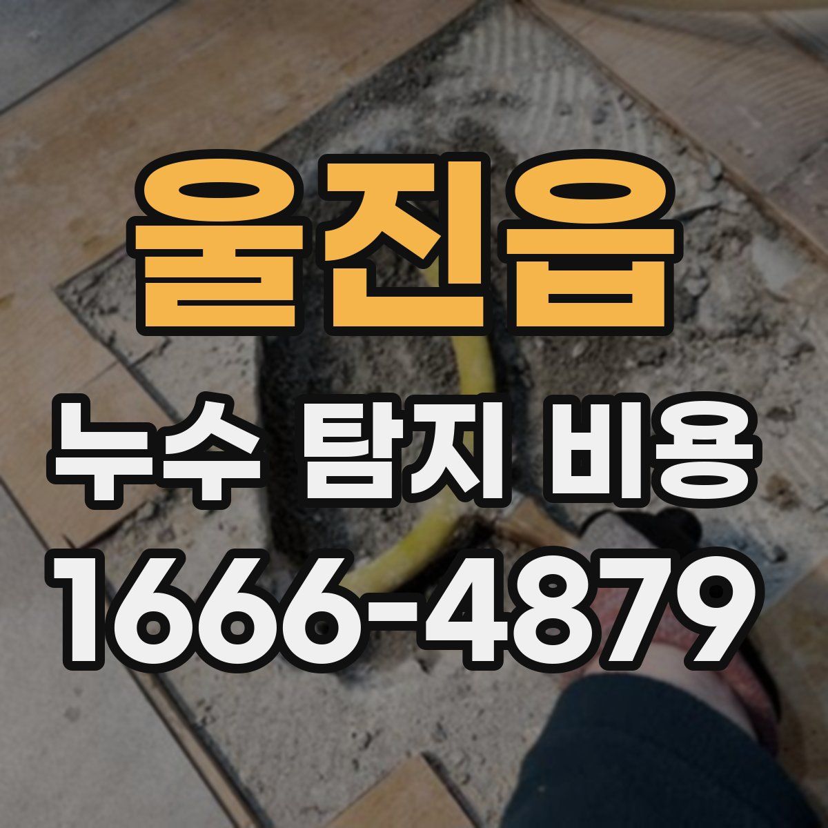 울진읍 누수 탐지 비용