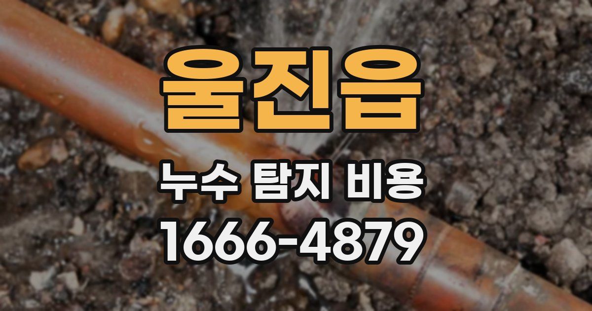 울진읍 누수 탐지 비용