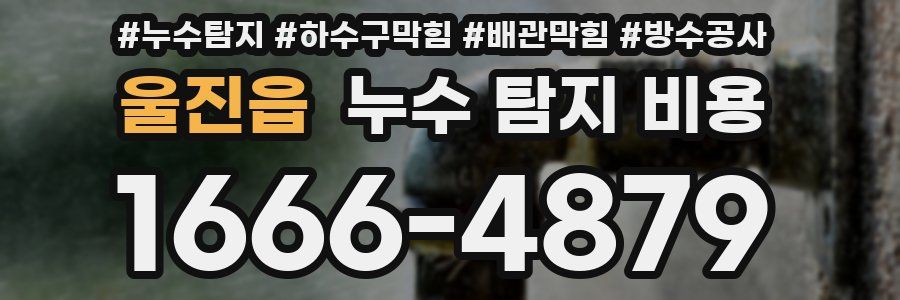 울진읍 누수 탐지 비용