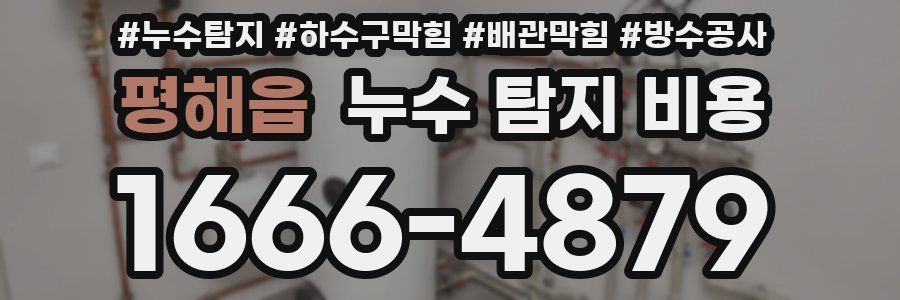 평해읍 누수 탐지 비용
