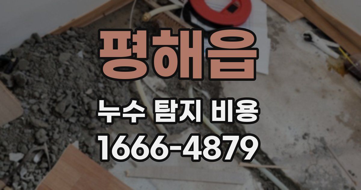 평해읍 누수 탐지 비용