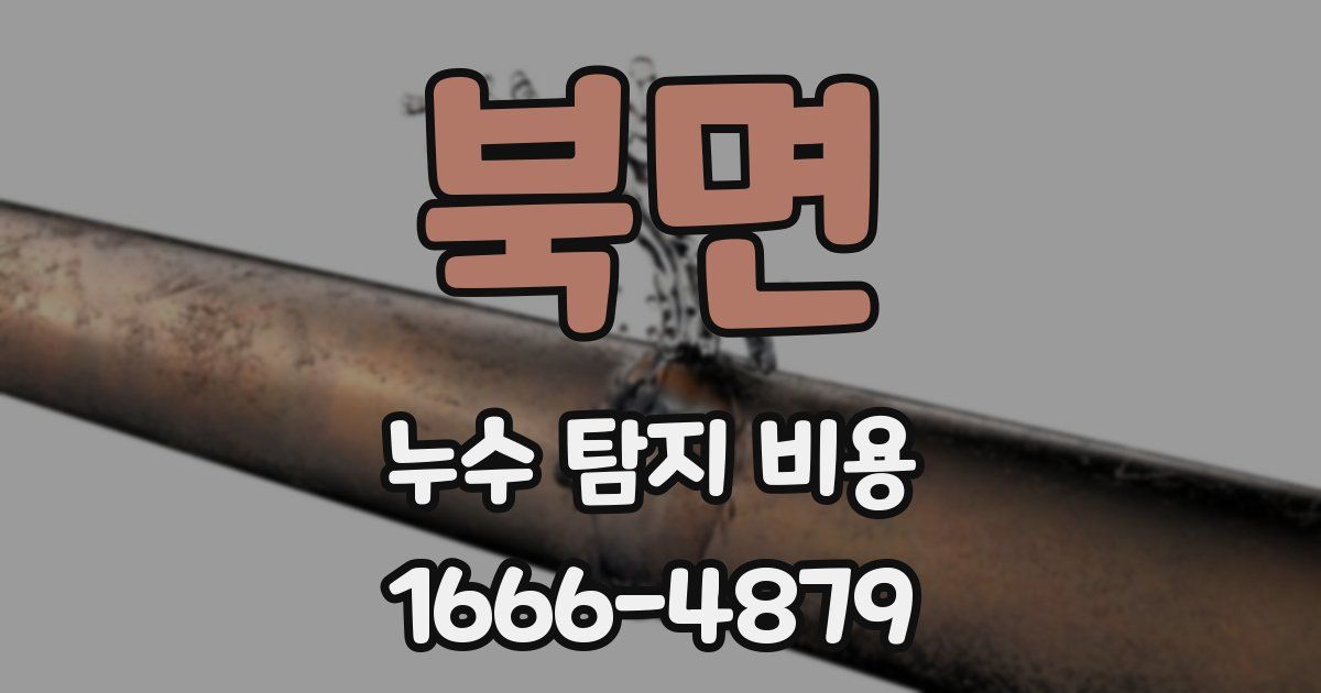 북면 누수 탐지 비용