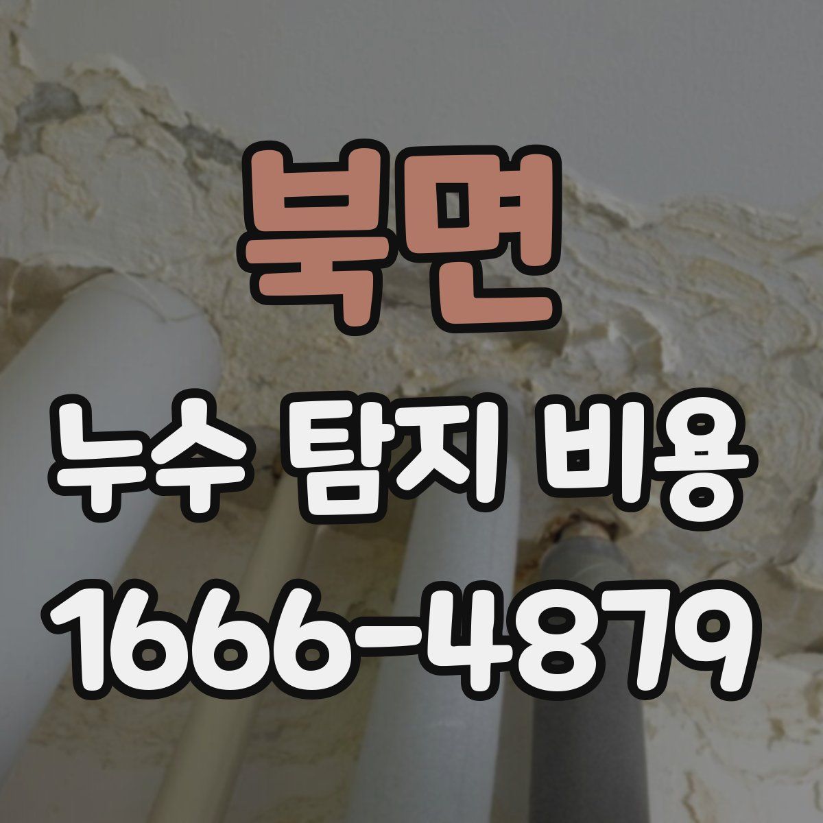북면 누수 탐지 비용