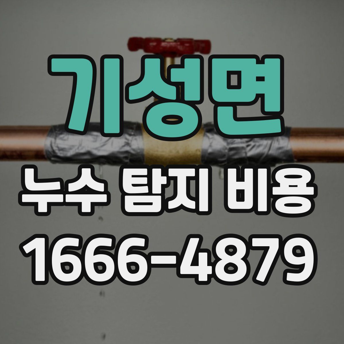 기성면 누수 탐지 비용