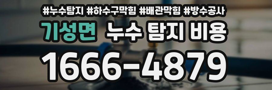 기성면 누수 탐지 비용