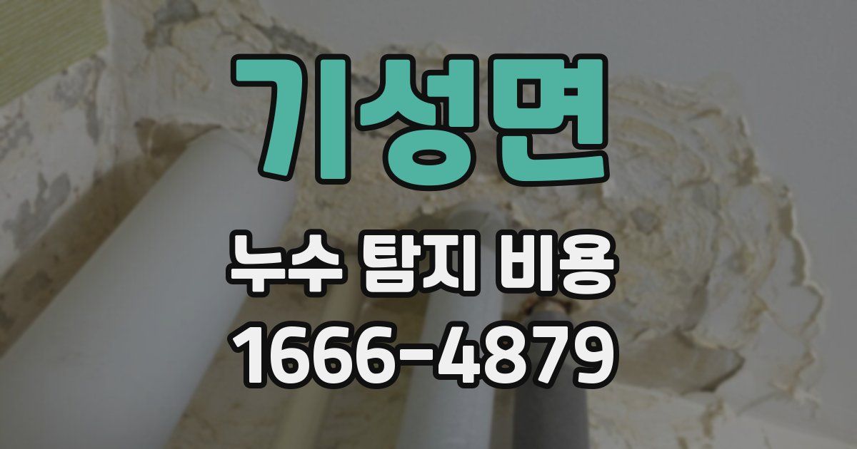기성면 누수 탐지 비용