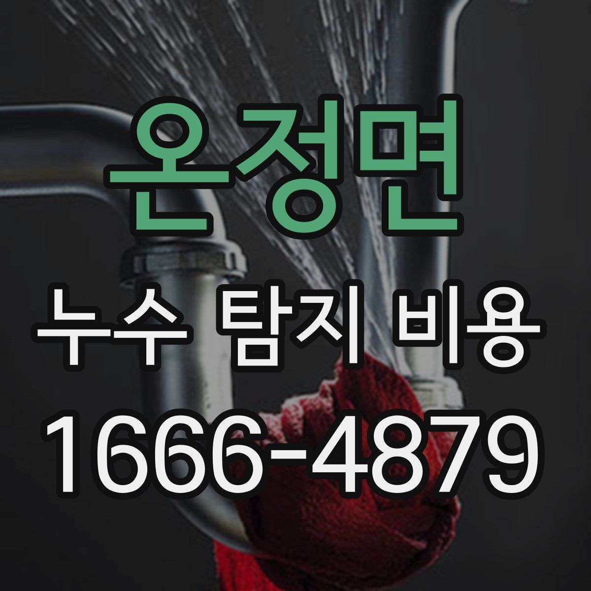 온정면 누수 탐지 비용