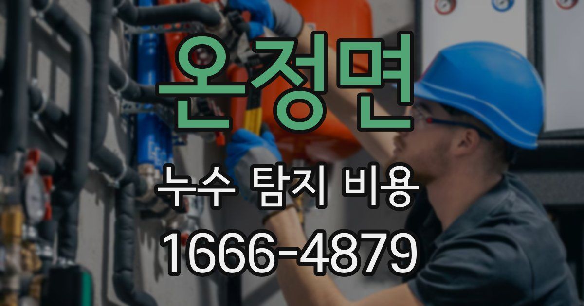 온정면 누수 탐지 비용