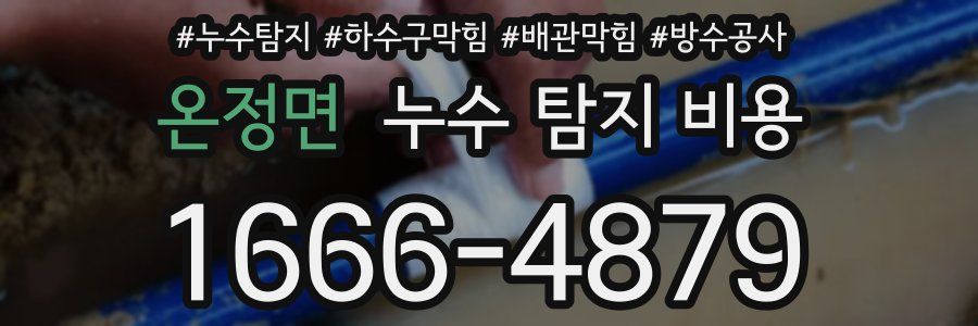 온정면 누수 탐지 비용