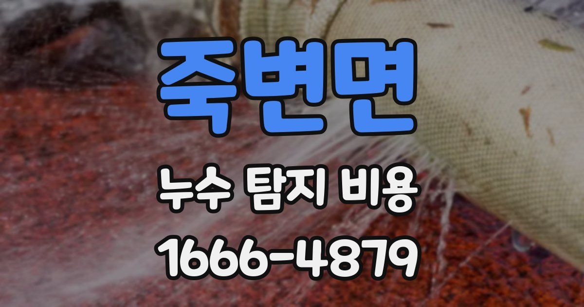 죽변면 누수 탐지 비용