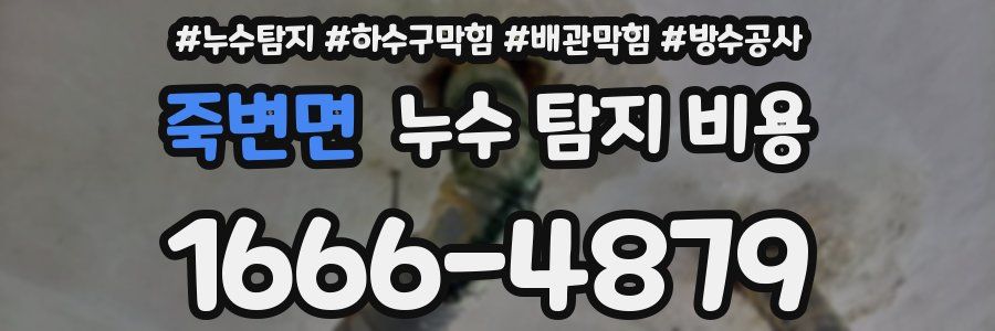 죽변면 누수 탐지 비용