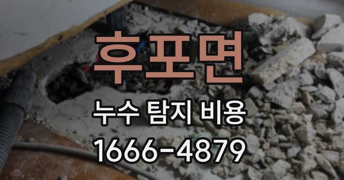 후포면 누수 탐지 비용