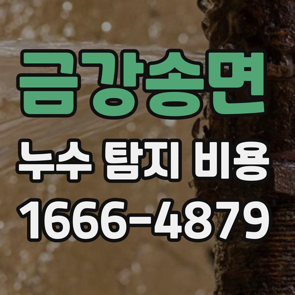 금강송면 누수 탐지 비용