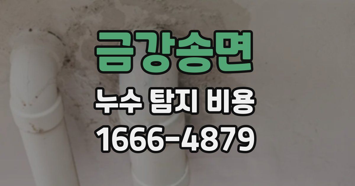 금강송면 누수 탐지 비용