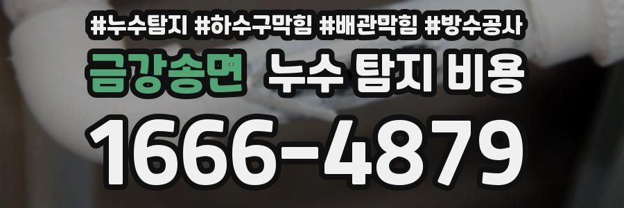 금강송면 누수 탐지 비용