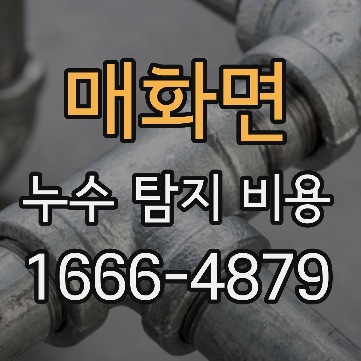 매화면 누수 탐지 비용