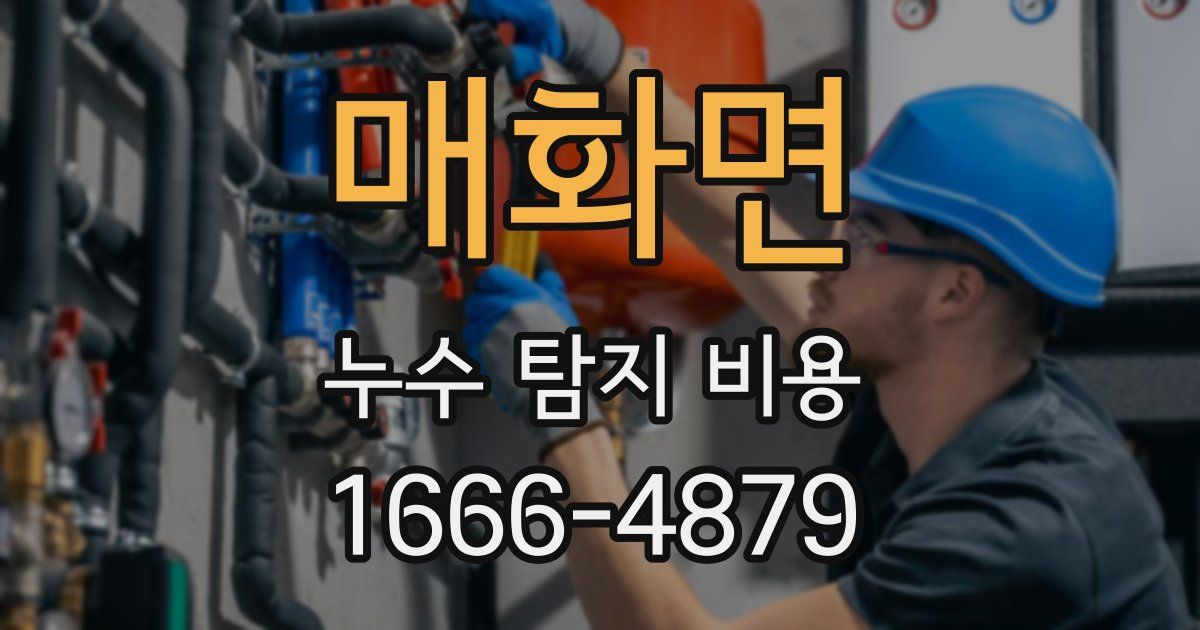 매화면 누수 탐지 비용