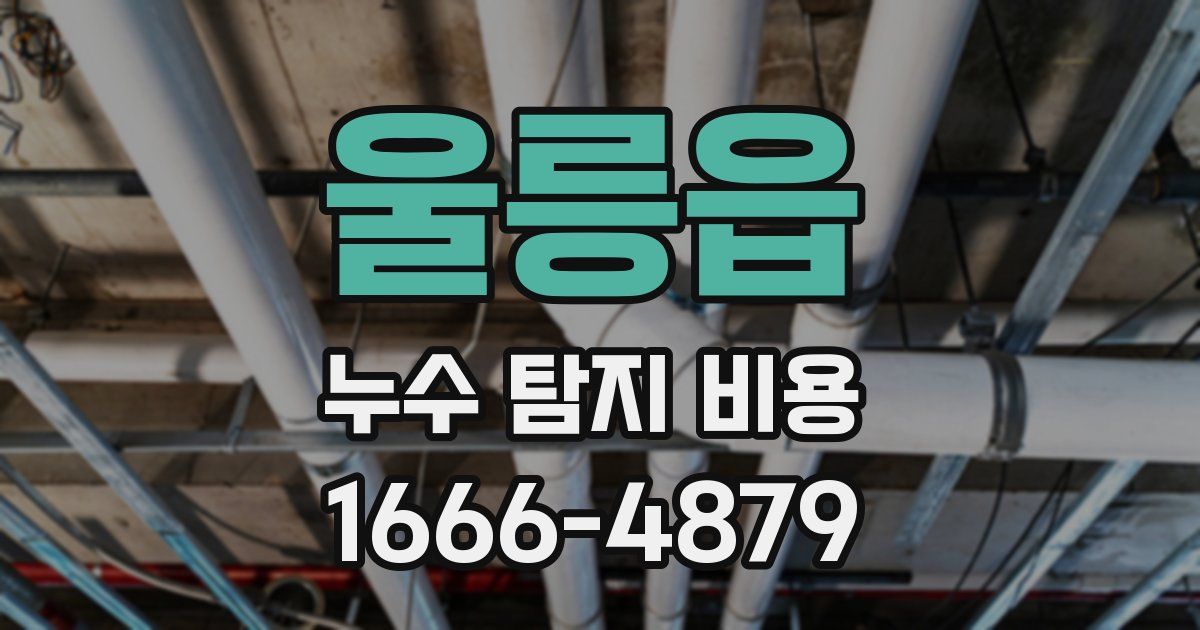 울릉읍 누수 탐지 비용