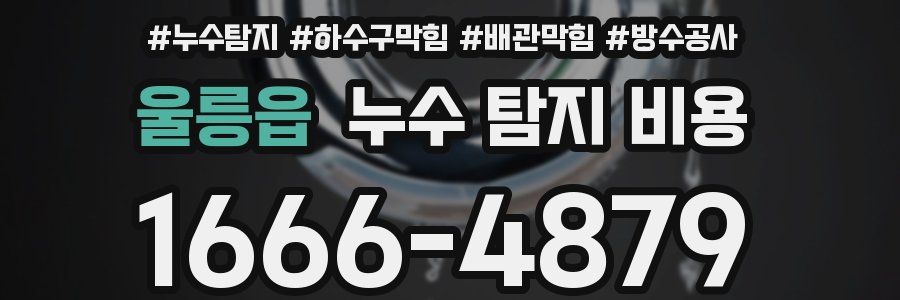 울릉읍 누수 탐지 비용