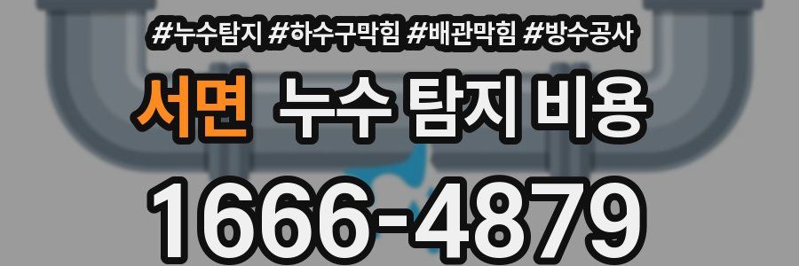 서면 누수 탐지 비용