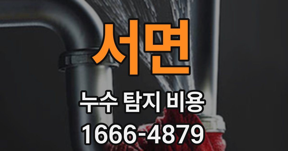 서면 누수 탐지 비용