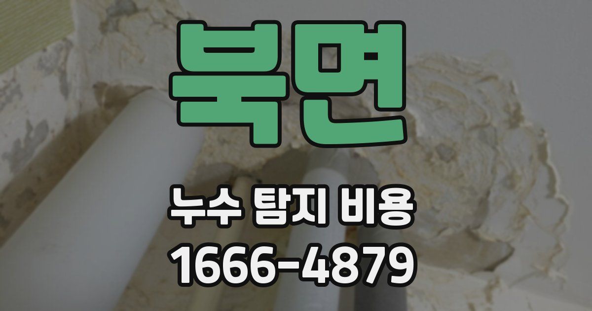 북면 누수 탐지 비용