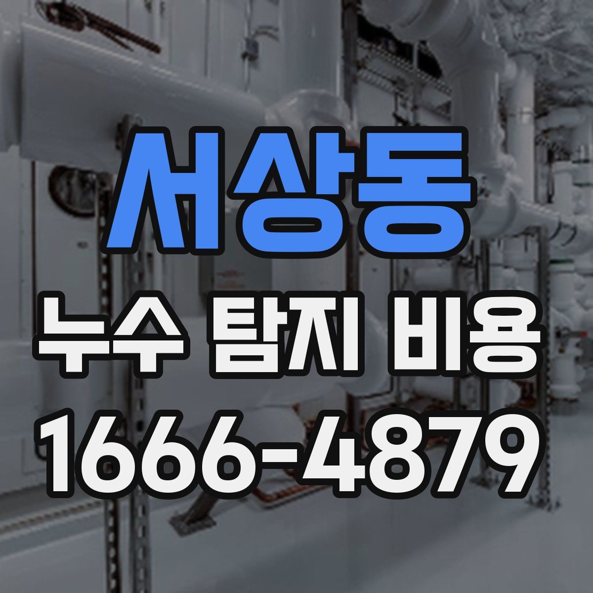서상동 누수 탐지 비용