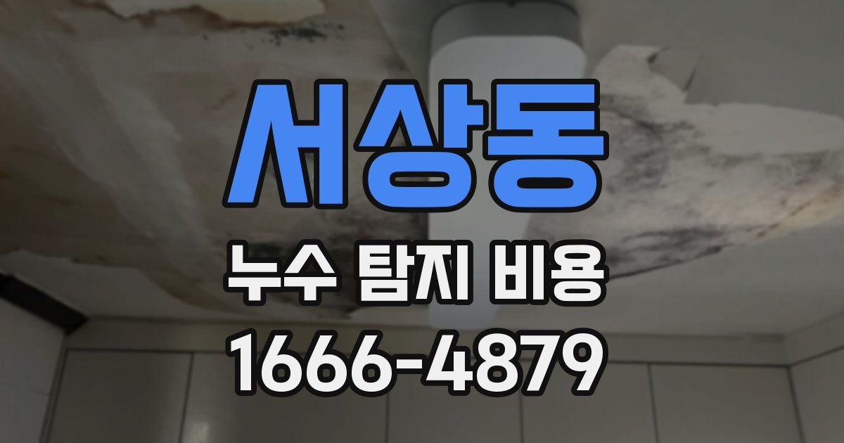 서상동 누수 탐지 비용