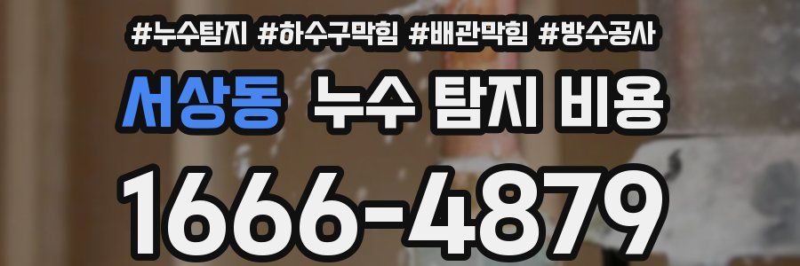 서상동 누수 탐지 비용