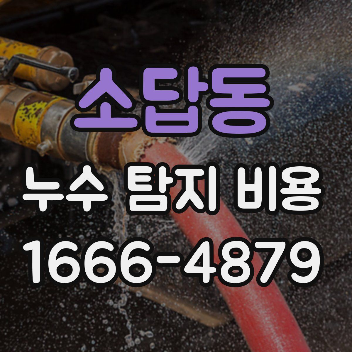 소답동 누수 탐지 비용