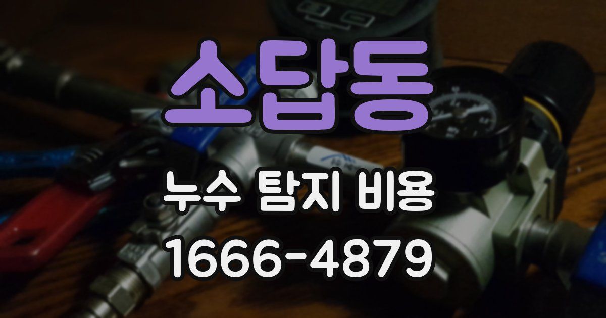 소답동 누수 탐지 비용